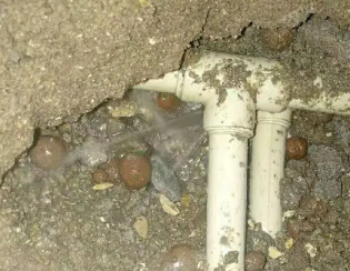 定远卫生间测漏