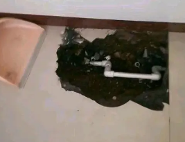 定远卫生间测漏水多少钱